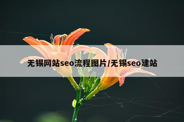 无锡网站seo流程图片/无锡seo建站